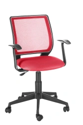EXPERT armchair