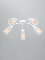 General purpose fixed luminaire V3758-0/5PL