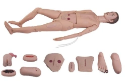 Multifunctional mannequin (male), item 2100