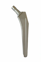 Cementless foot No.2, modification "Standard", total length of the foot 151,6 mm