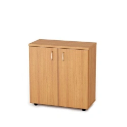 Cabinet for documents