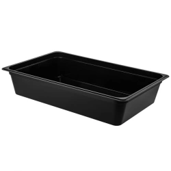 4221002; Container "GASTRUCTURE 1/1 H-150" (transparent)