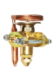 Thermostatic control valve TE4