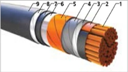 Power cables with plastic insulation, not spreading combustion at voltage of 6 kV VBVng(A).
