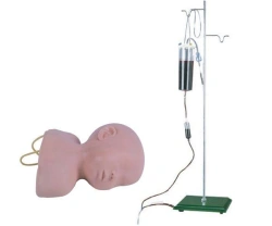 Infant head model for venipuncture, item G1