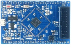 Integrated circuit K1948VK018 (MIK32 Amur)