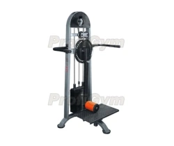 TG-0600-C. Hip extension-extension machine for standing.