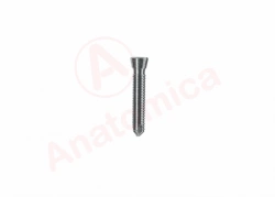 Cortical screw with conical thread
