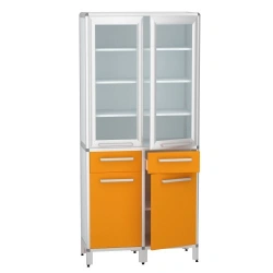 Cabinet for storage of medicines according to TU 32.50.30-007-32924160-2021, article number DM-2-101-17.K2.?2.