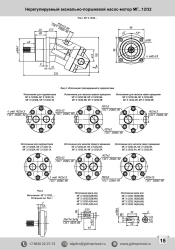 Axial piston hydraulic pumps not adjustable with inclined block type MG3.12/32A
