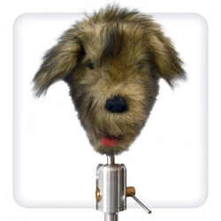 B1042 Trainer for practising dental skills in dogs