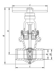 Gate valve 2s-25-1H