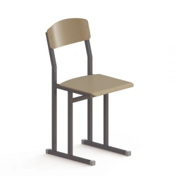 Furniture for educational institutions on a metal frame with wooden elements of "DSC-Mebel" brand. Pupil's chair