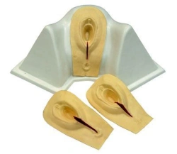 Trainer for crotch dissection and stitching, H1