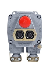 Explosion-proof push-button control post PVK-33
