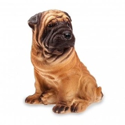 Dog Sharpei