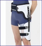 Hip orthopaedic apparatus
