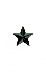 Protective colour metal star with diameter of 20 mm, TU 9675-191-08836809-2012, Izv. 1,2,3,4