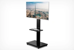 Multimedia/screen stand
