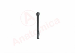 Cannulated compression screw