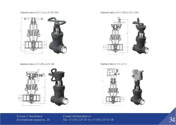 Gate valve 2s-32-1