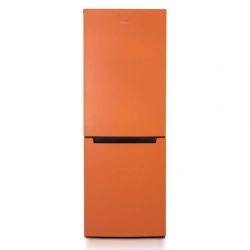 Refrigerator-freezer "Biryusa T820NF"