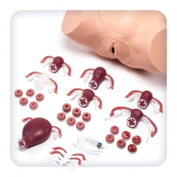 M1115 Advanced gynaecological simulator