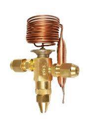 Thermostatic control valve T1