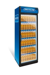 Refrigerated cabinet FRIGOGLASS Super-9 [R290] single door display case