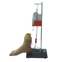 Foot model for IV infusion, H3018