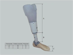 Therapeutic and training tibia prosthesis