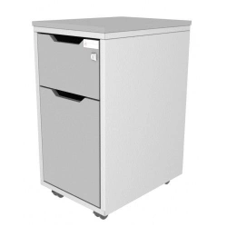 Laboratory cabinet of "SPECIALIST" series