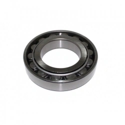 Cylindrical roller bearing 12507KM