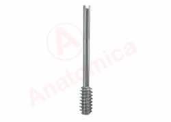Dynamic screw