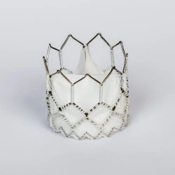 Aortic heart valve prosthesis with transcatheter delivery system "MedLab-CT" according to TU 9444-019-27771122-2014.