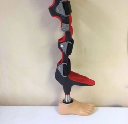 Full leg brace with double trace