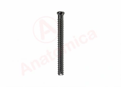 Cannulated screw solid thread