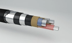 Power cables with paper impregnated insulation, in lead sheath, not spreading combustion, for voltage up to 10 kV, make