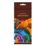 Coloured art pencils "VISTA-ARTISTA" Fine VFCP-12 Set of sharpened coloured pencils 8 x 12 colour.