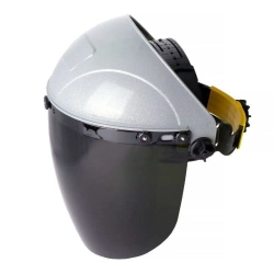 Face shield NBT2 SUPER VISION®, article number 427399.