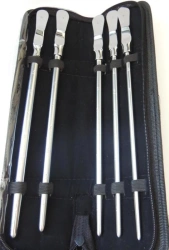 CILITA surgical instruments for probing:Urethral buds