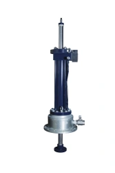 Mechanism of plug input