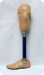 Modular tibial prosthesis, including those with underdevelopment