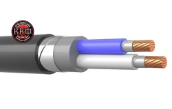 Cable VBSHV ng(A)-FRLS 2 x 10 kr (0,66) GOST KKF LLC