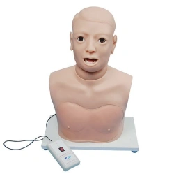 Electronic model for pharyngeal and laryngeal examination CS6279