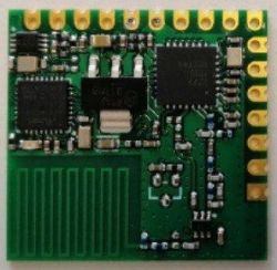 Module LRRT-868-PCB-SPDS LRRDE.464411.014-02
