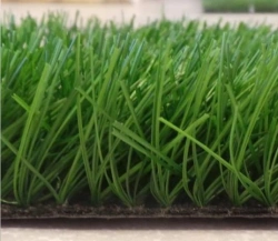 Artificial grass Grass 55Z/14 PU