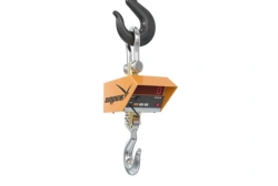 Crane electronic scales VK