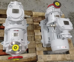 Electric pump unit type CMG-M1 6,3/32