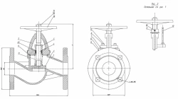 Non-return shut-off flanged bore valve with indicator DN 50 PN 16 series 458 (KMIA.491915.002-02)